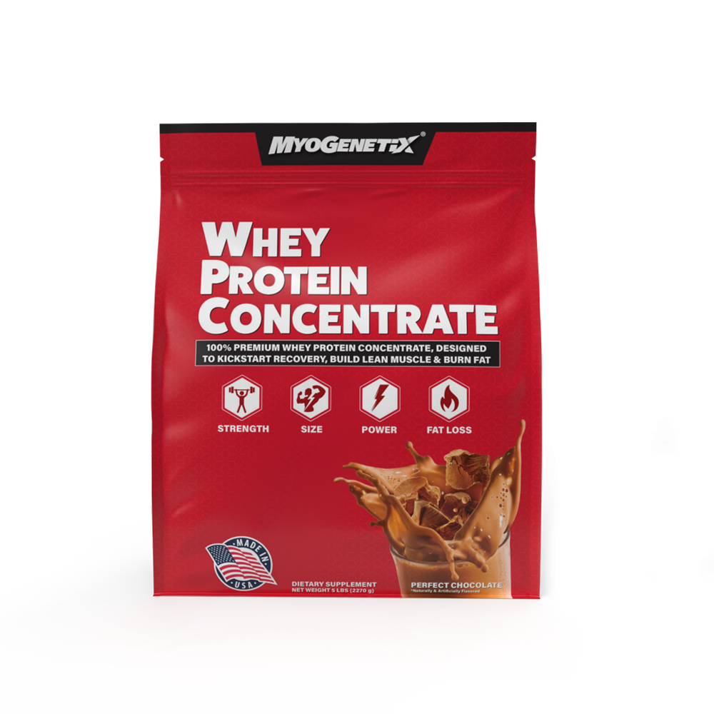 WHEY PROTEIN CONCENTRATE 5 lbs ~ Perfect Chocolate